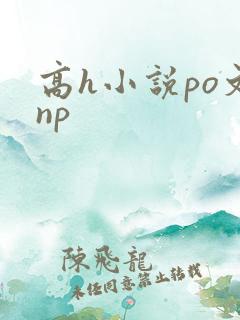 高h小说po文np