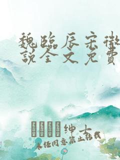 魏临辰宋微微小说全文免费阅读