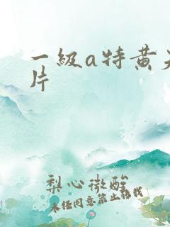 一级a特黄夫妻片