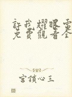 许我耀眼电视剧免费观看全集在线播放赵露思