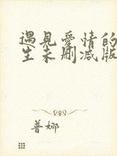 遇见爱情的利先生未删减版