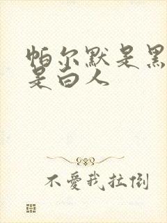 帕尔默是黑人还是白人