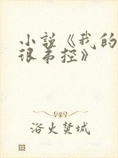 小说《我的姐姐很弟控》