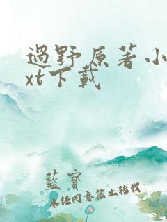 过野原著小说txt下载