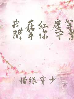 我在红尘等你人间等你 守繁华之外