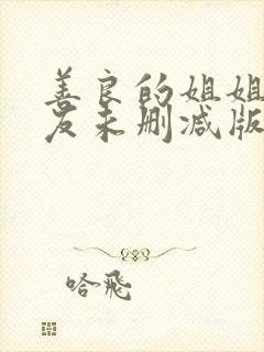 善良的姐姐的朋友未删减版