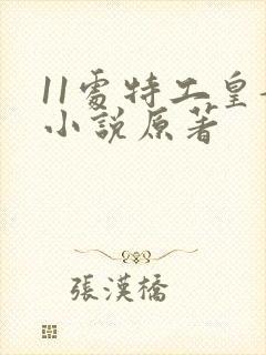 11处特工皇妃小说原著