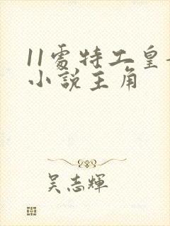 11处特工皇妃小说主角