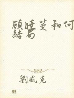 顾晓菱和何睦大结局