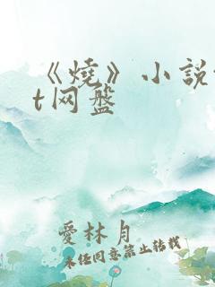 《烧》小说txt网盘