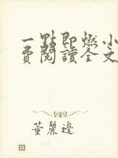 一点即燃小说免费阅读全文无弹窗