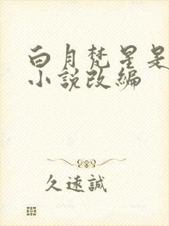 白月梵星是哪本小说改编