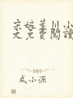 宋婉叶川小说全文免费阅读