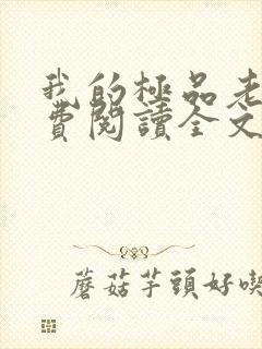 我的极品老婆免费阅读全文小说