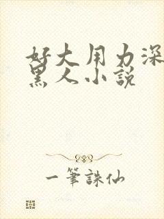 好大用力深一点黑人小说