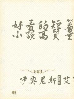 好看的短篇言情小说高质量文笔好