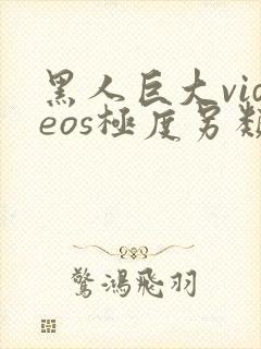 黑人巨大videos极度另类