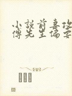 小说前妻攻略:傅先生偏要宠我小说