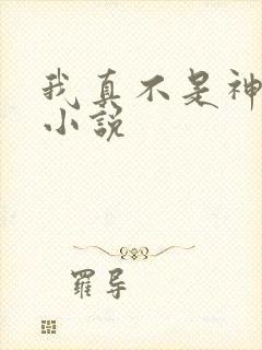 我真不是神仙啊小说