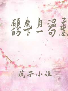 愿岁月温柔以待的下一句怎么接