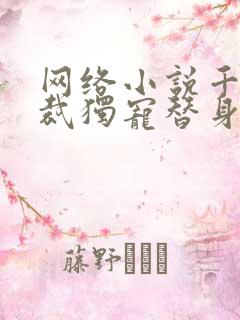 网络小说千亿总裁独宠替身娇妻