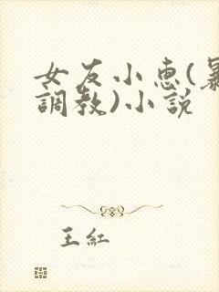 女友小惠(暴露调教)小说
