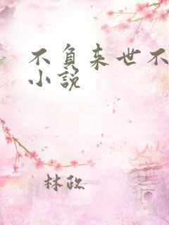 不负来世不负卿小说