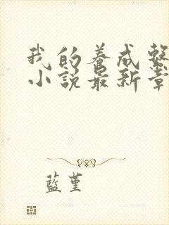 我的养成系女友小说最新章节