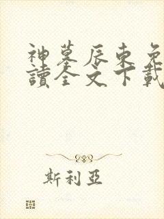 神墓辰东免费阅读全文下载