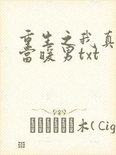 重生之我真没想当暖男txt