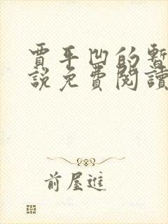 贾平凹的暂坐小说免费阅读