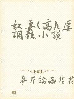 奴妻(高h虐身调教小说