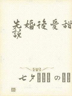 先婚后爱甜宠小说