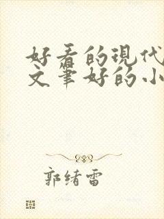 好看的现代言情文笔好的小说