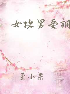 女攻男受调教