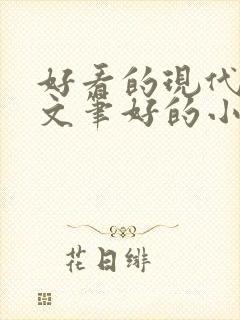 好看的现代言情文笔好的小说