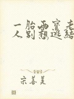 一胎两宝老婆大人别想逃结局