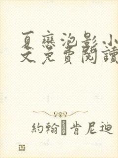 夏恋泡影小说全文免费阅读最新章节