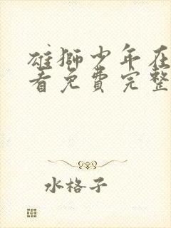 雄狮少年在线观看免费完整国语高清