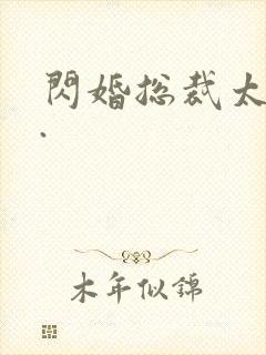 闪婚总裁太霸道.