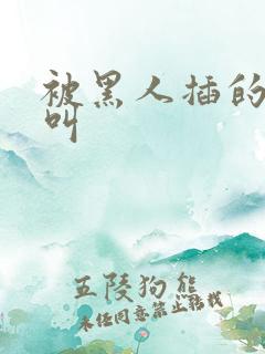 被黑人插的嗷嗷叫