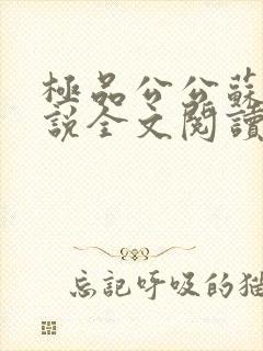 极品公公苏媚小说全文阅读