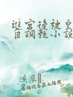 进宫后被皇帝亲自调教小说