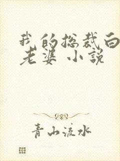 我的总裁白富美老婆 小说