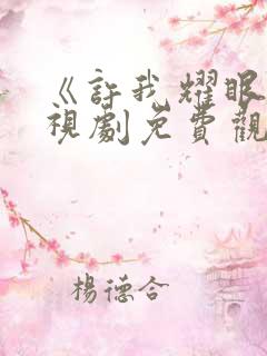 《许我耀眼》电视剧免费观看全集高清