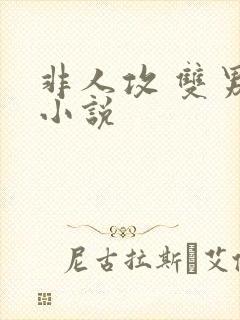 非人攻 双男主小说