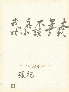 我真不是大佬txt小说下载