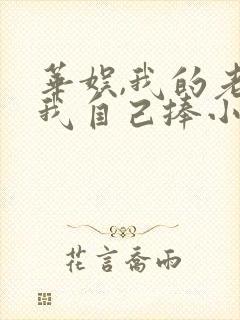 华娱,我的老婆我自己捧小说阅读