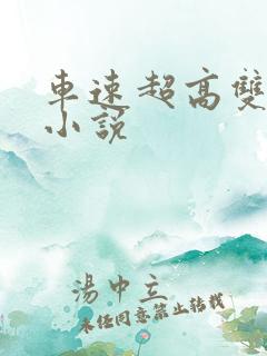 车速超高双男主小说