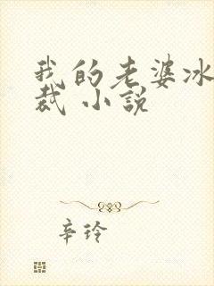 我的老婆冰山总裁 小说